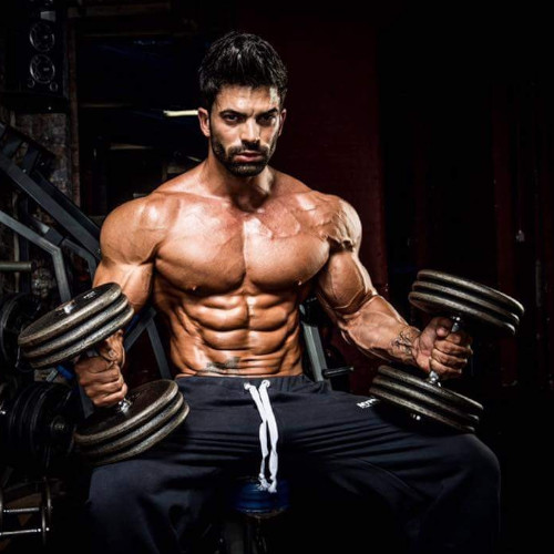 Titán Fitness Klub Testépítés